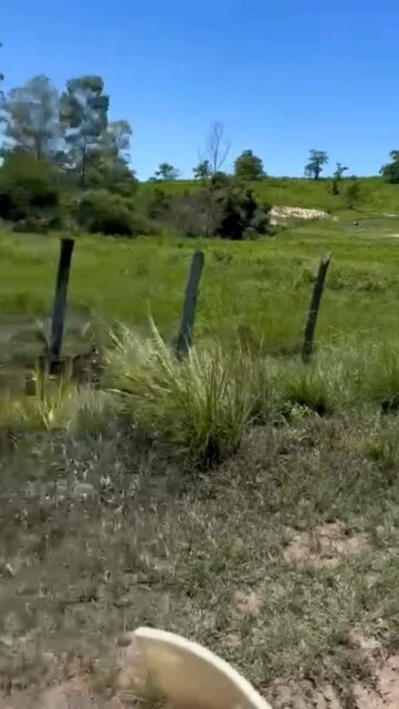 🌟Desafio em 2 Rodas🌟
Hoje, a aventura me levou por caminhos imprevisíveis e desafiadores! 🏍️💨 Cada lamaçada, cada curva, é uma lição sobre superação e coragem. 💪🏽✨
Lembre-se: o verdadeiro DESAFIO não está apenas na trilha, mas em como encaramos os obstáculos da vida! 🫵🏽⛰️
🔑 Dica do dia: Não tenha medo de sujar as mãos e se aventurar! A vida é feita de experiências e cada desafio é uma oportunidade de crescimento. 🌱💥
Vamos juntos, com garra e determinação, transformar cada desafio em uma nova conquista! 🦅🔥
👉🏽 Como você enfrenta seus desafios? Compartilhe sua história nos comentários! 💬👇🏽
#desafioem2rodas #aventura #motociclismo #superação #vidasobreduasrodas